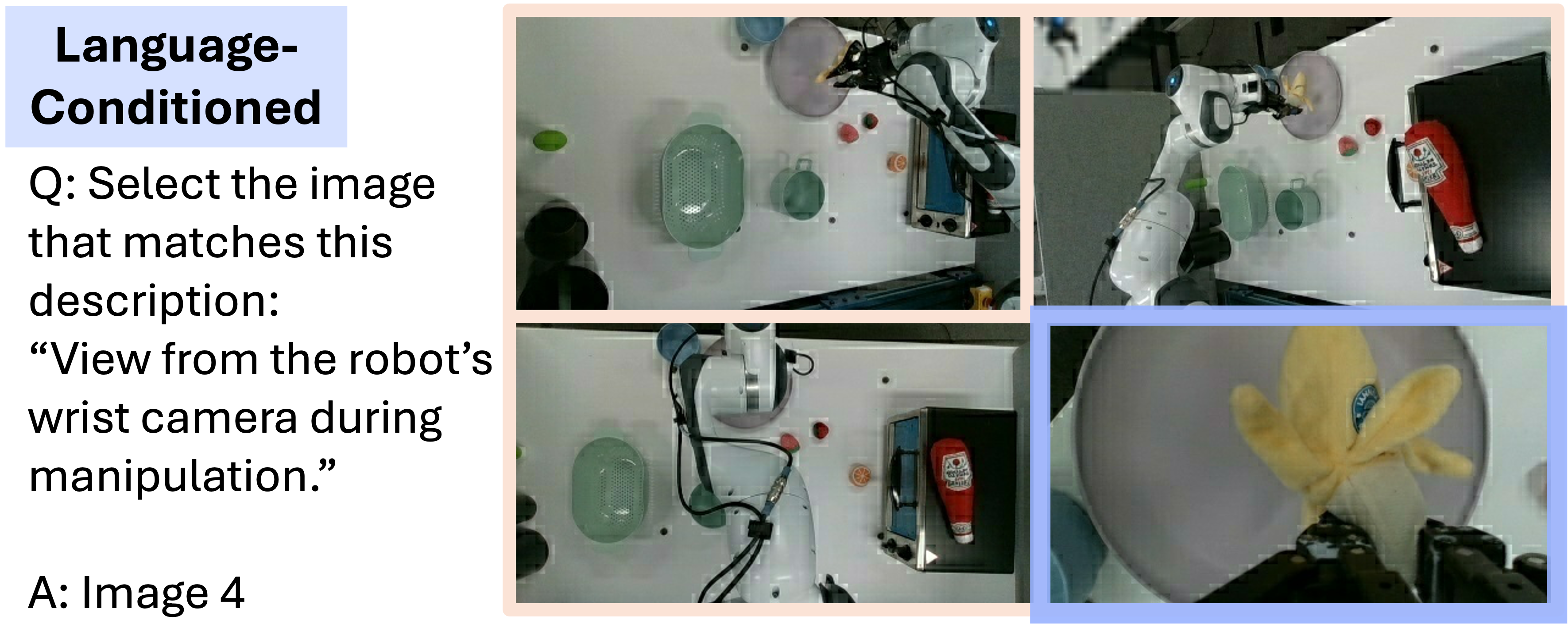 Language-Conditioned